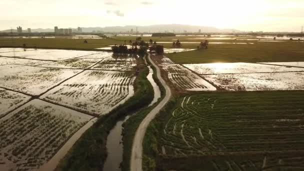 Vue aérienne petit sentier à la rizière pendant l'heure du coucher du soleil 