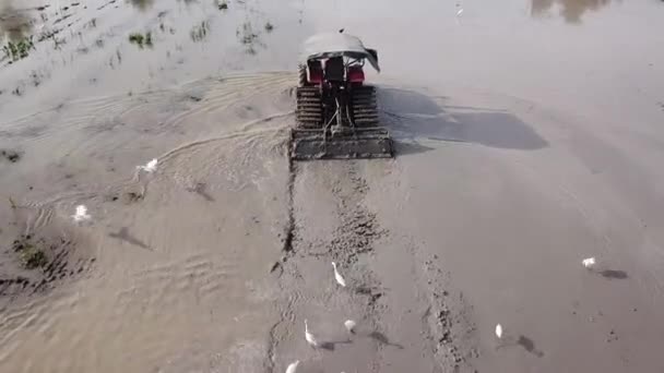 Tractor ploeg bodem rijst padie, landbouw in Maleisië. — Stockvideo