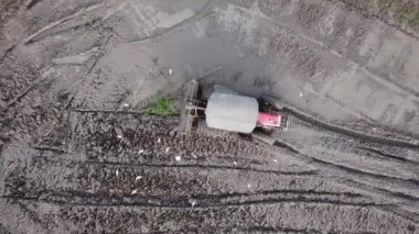 Penang, Malezya 'da traktörle çeltik tarlası yetiştiriyor..
