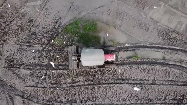 Tractor op rijstveld voor werkploeg te Penang, Maleisië. — Stockvideo