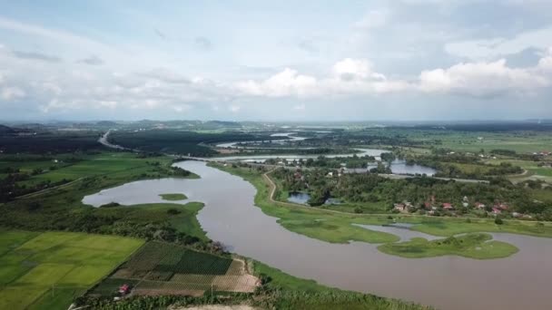 Pemandangan udara terbang di atas Sungai Muda. — Stok Video