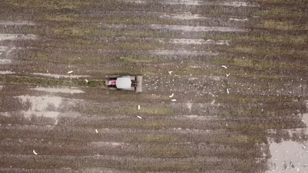 Vue du haut vers le bas tracteur labourer le sol dans la rizière . — Video