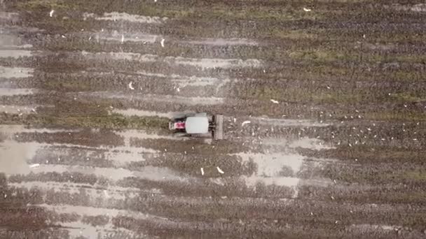 Madártávlat ereszkedő traktor műveli a talajt. — Stock videók