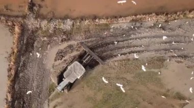 Güneydoğu Asya, Malezya 'da çeltik pirinç tarlasında çalışan hava traktörü..
