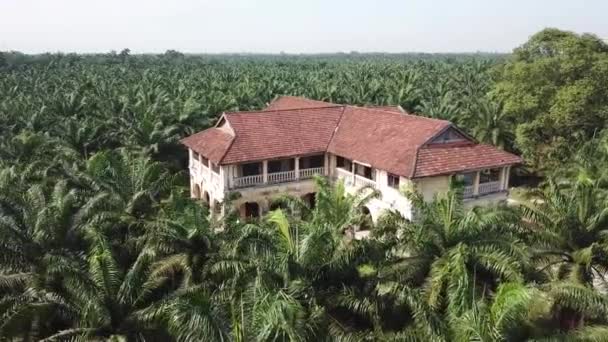 공중에서 보면 말레이시아의 페낭에 있는 기름야자 나무 밭에 있는 99 개 의문이 있는 저택. — 비디오