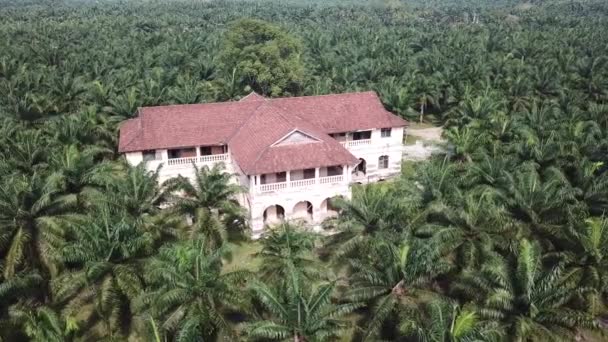 Aerial view abandoned 99 door mansion is 20th century colonial building — Stock Video