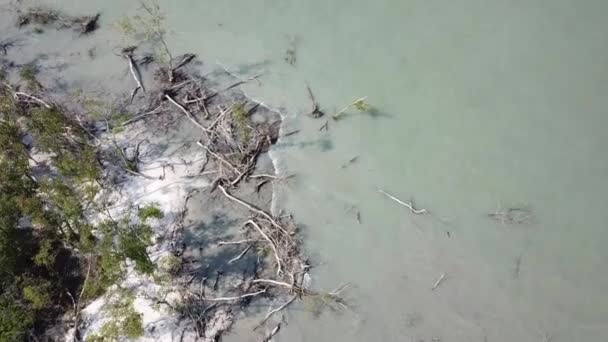 Pemandangan udara pohon bakau telanjang di Tanjung Piandang, Perak. — Stok Video