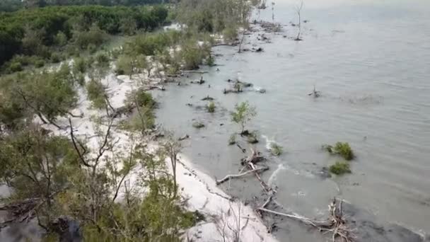 Летіть над мангровим деревом, білим піском і морем в Танджунг Піанданг, Перак. — стокове відео