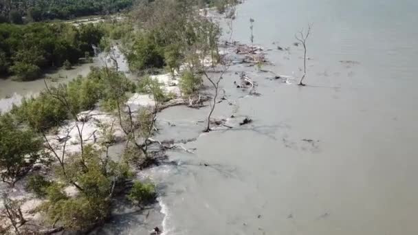 Panorámica aérea de manglares verdes mientras vuela a Malasia . — Vídeos de Stock