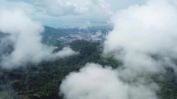 Volar sobre la nube con árbol verde en el bosque y George Town en la parte posterior . — Vídeo de stock