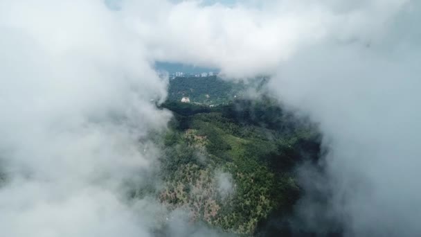 在雾蒙蒙的云雾中飞翔，在森林里有绿树，在槟城有人工林. — 图库视频影像