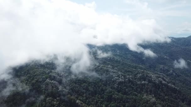 Leť přes zamlženou oblohu a zelený les na kopci Penang. — Stock video