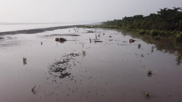 Воздушная грязная почва у мангровых деревьев на побережье около Куала Сунгай Муда, Кедах . — стоковое видео