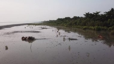 Ölü ağaç dallarıyla çamurlu toprağın üzerinden uç.