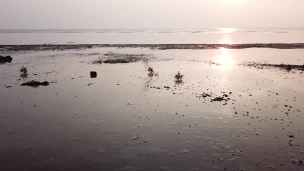 Deslizamiento sobre el manglar de marea baja durante la puesta del sol — Vídeo de stock