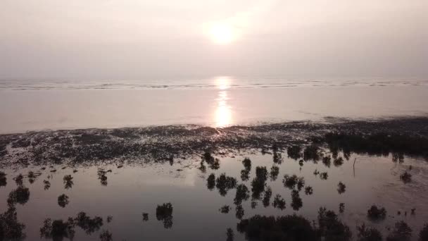 Pôr-do-sol da noite costeira no manguezal reflexão árvore — Vídeo de Stock