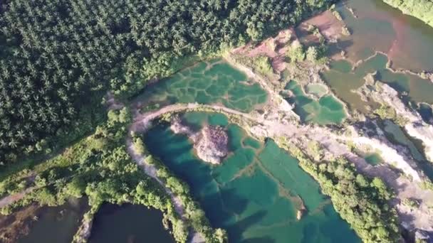 Вид с воздуха Фрог Хилл — стоковое видео
