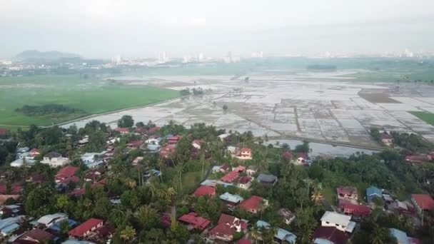 Leć nad wioską Malays z zielonym polem ryżowym jako tło — Wideo stockowe