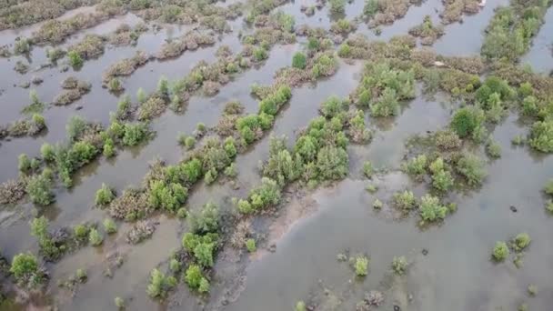 Wetlands near Batu kawan — Stock Video