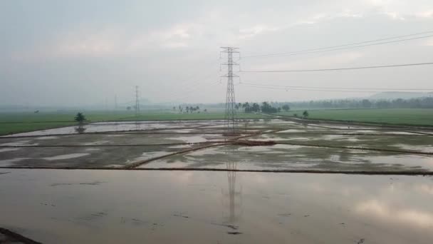 Vuela hacia la torre eléctrica en un humedal fangoso — Vídeos de Stock