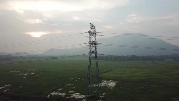 Torre elétrica de rastreamento aéreo no campo de paddy — Vídeo de Stock