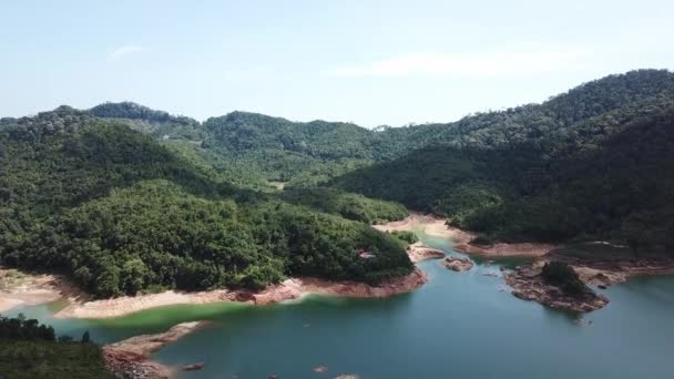 Vista aérea da floresta verde em torno da barragem . — Vídeo de Stock