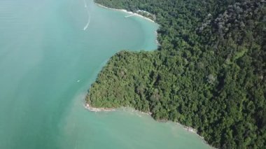 Teluk Bahang Ormanı 'nda tekne gezisi.