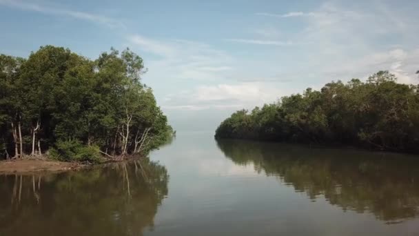 Vuela hacia la desembocadura del río con manglares — Vídeos de Stock