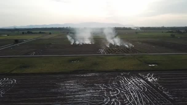 Leć w kierunku pola ryżowego. — Wideo stockowe