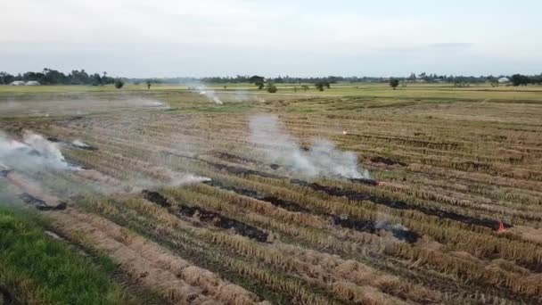 Humo debido a la quema abierta . — Vídeos de Stock