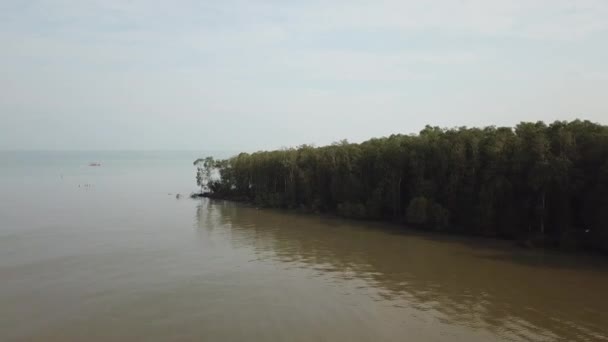 Fly toward mangrove tree forest with boat sail background at Malaysia — Stock Video