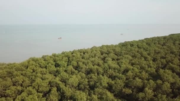 Luchtfoto dicht mangrovebos 's avonds bij Penang — Stockvideo