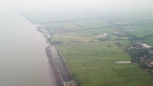 Luchtfoto groene padie veld naast de kust tijdens mist dag op Yan — Stockvideo
