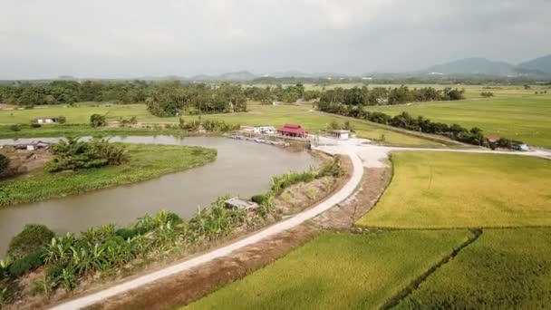 Vista aérea Sungai Perai en embarcadero — Vídeos de Stock