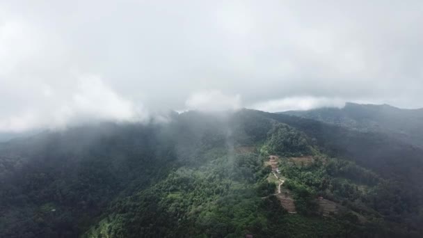 Ayer Itamの霧のプランテーションの上の空中ビュー — ストック動画