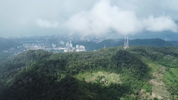 Vuela lejos de la plantación bajo el cielo nublado — Vídeo de stock