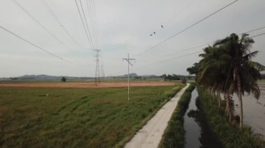 Elektrik kulesine doğru uç