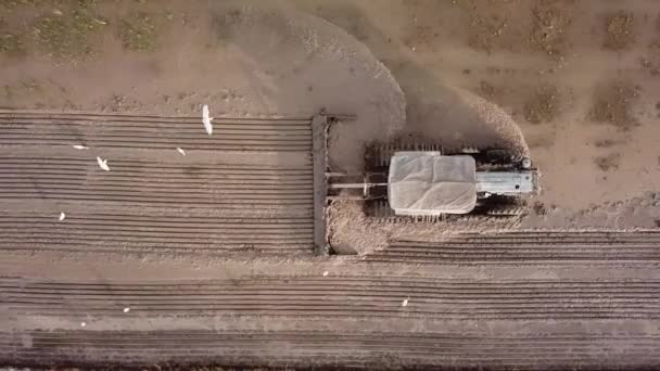 Culture aérienne le sol à la rizière — Video