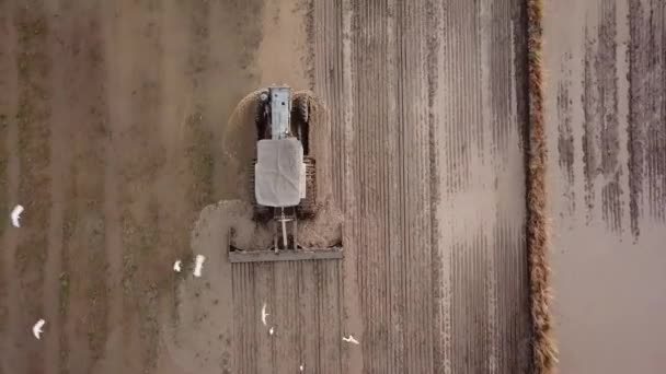 Vuelo de arado aéreo a la parte posterior del tractor durante el arado — Vídeo de stock