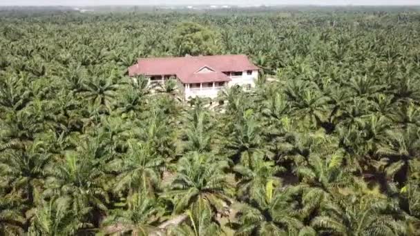 Pandangan udara bangunan kolonial 99 pintu rumah di perkebunan kelapa sawit — Stok Video