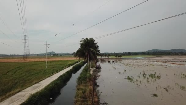 Volar sobre casa de aves, torre eléctrica — Vídeos de Stock