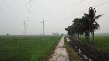 Yeşil alanda, elektrik kulesiyle kırsal yolda uçan bir hava kulesi.