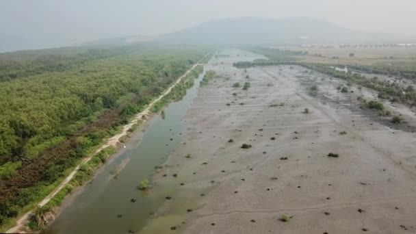 Voe sobre a zona húmida com manguezais esquerdos e árvores mortas direitas — Vídeo de Stock