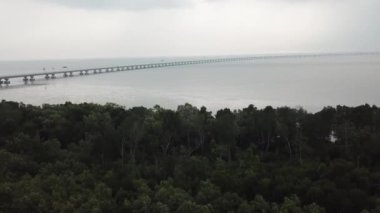 Mangrov ağaçlarının üzerinde uçan bir hava.