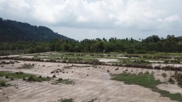 Volare verso gli alberi secchi a campo aperto . — Video Stock