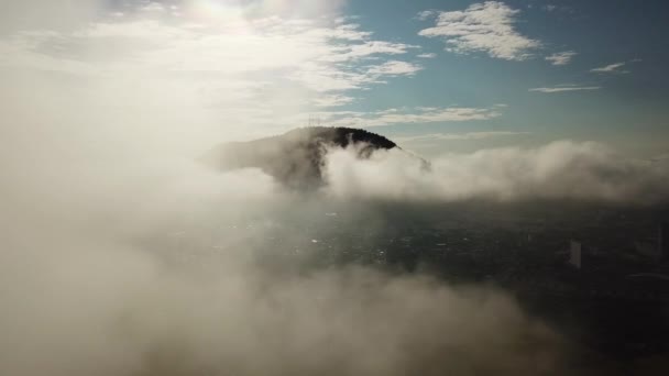 Udara bergerak di atas awan putih di atas lapangan padi hijau — Stok Video