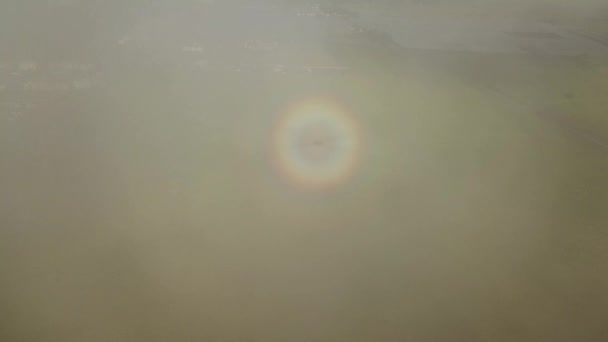 Flygfoto regnbåge gloria ring show på molnet ovanför Paddy field — Stockvideo