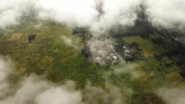 Geleneksel Malay kampung hava manzarası çeltik tarlalarıyla çevrili. — Stok video