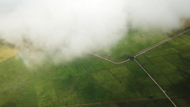 空中白云掠过绿地 — 图库视频影像
