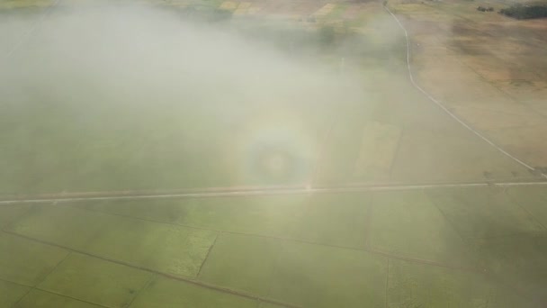 Aerial Rainbow Heiligenschein über dem grünen Feld. — Stockvideo